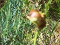 100_1581.jpg